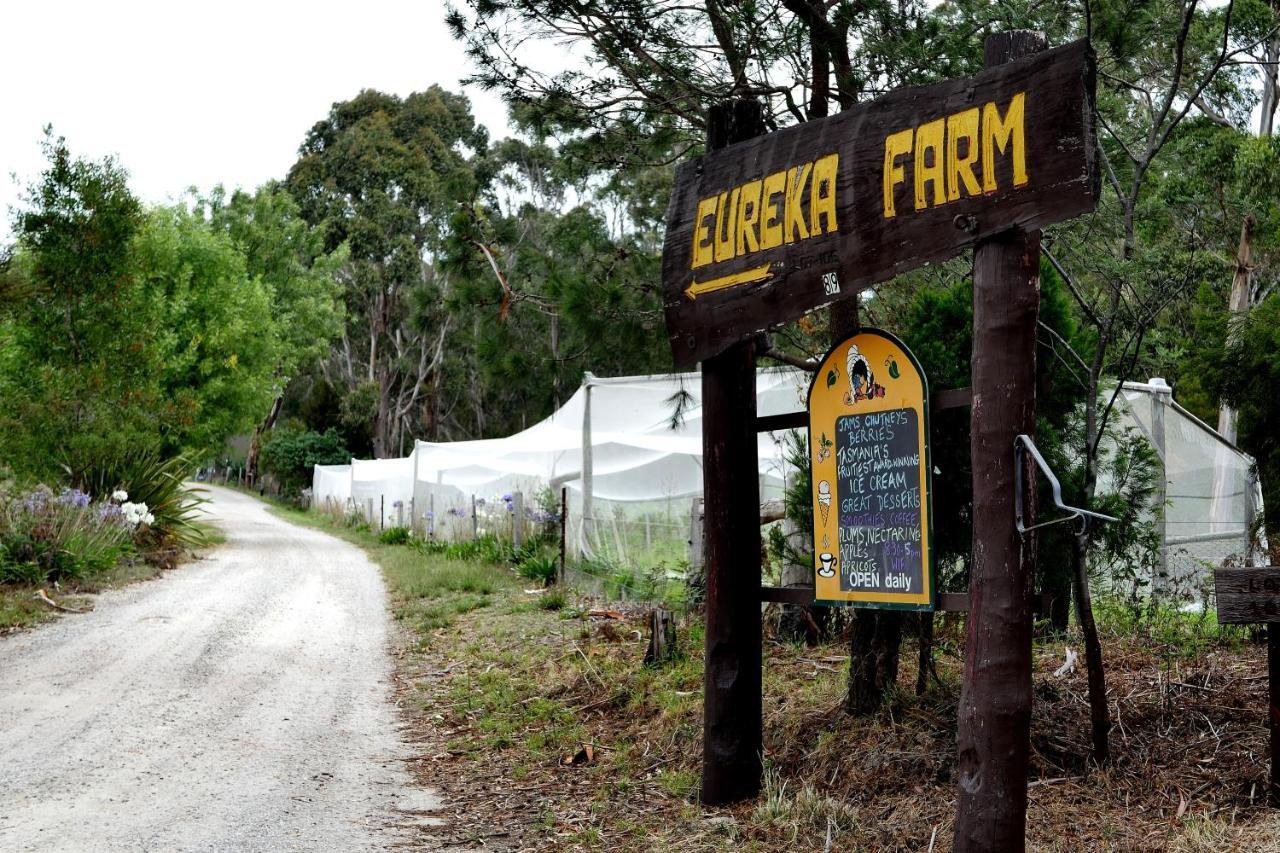 斯卡曼德Eureka Farm别墅 外观 照片